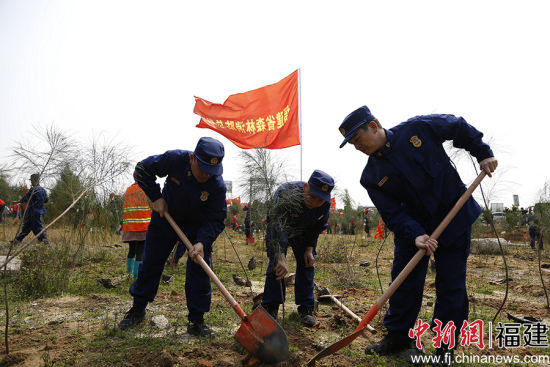 圖為福建森林消防總隊(duì)副總隊(duì)長石曉光帶領(lǐng)隊(duì)員進(jìn)行植樹。