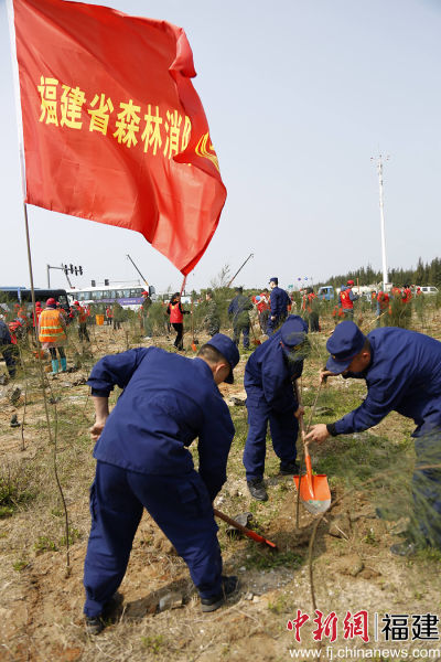 圖為森林消防員參加植樹活動(dòng)。