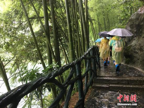 資料圖：一景區(qū)內(nèi)，游客雨中登山觀美景。中新社記者 吳蘭 攝中新社記者 吳蘭 攝