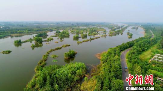 豐縣黃河故道大沙河國(guó)家濕地公園鳥(niǎo)瞰?！O井賢 攝