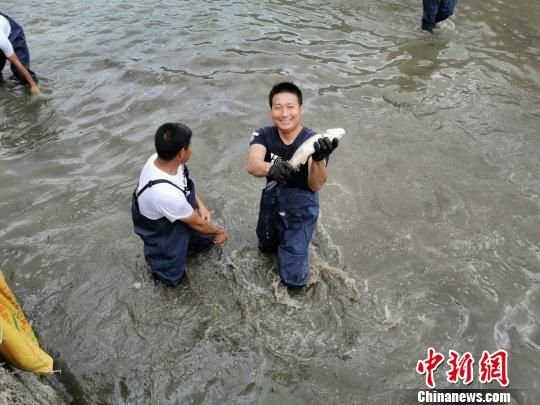 　　22日，2019羅源·中房健身休閑旅游豐收節(jié)暨古鎮(zhèn)探寶活動(dòng)在羅源縣中房鎮(zhèn)舉行。圖為趣味水中摸魚比賽現(xiàn)場(chǎng)。　俞洪標(biāo) 攝