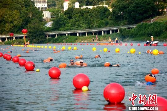 　　兩岸泳者“客家母親河”汀江水域角逐競技。　龔雯 攝