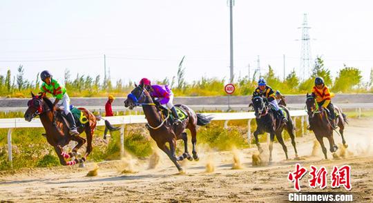 賽場上，駿馬風馳電掣般沖向終點?！∫χt 攝