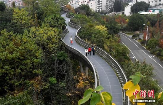 一市民和游客在福州城市森林步道——“福道”上行走。中新社記者 張斌 攝