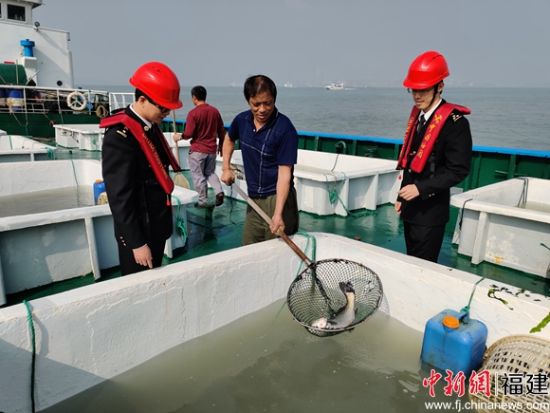 漳州海關啟動活魚“春運”