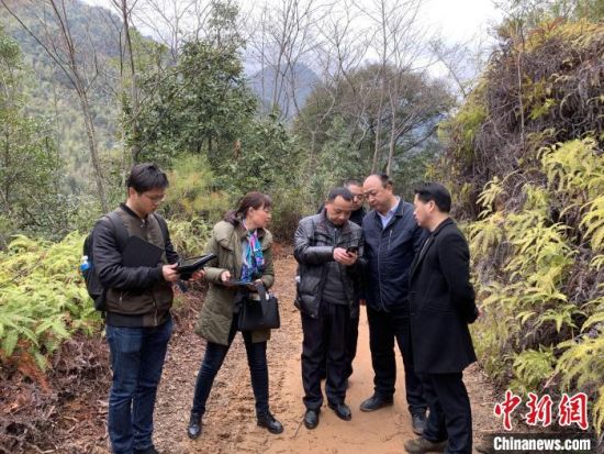 1月13日，武夷山國家公園管理局領(lǐng)導(dǎo)率生態(tài)部技術(shù)人員與執(zhí)法支隊人員核查中?！∥鋰珗@管理局 攝