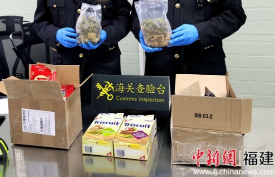 泉州海關(guān)查獲2批走私大麻大案。