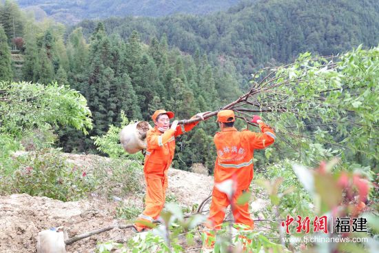 圖為植樹活動現(xiàn)場。黃起青 攝