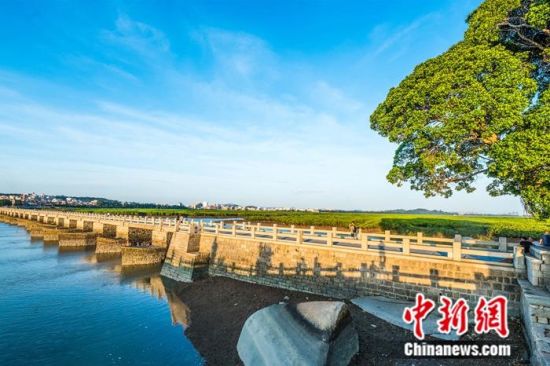 申遺點(diǎn)之一：洛陽橋。 楊福安 攝